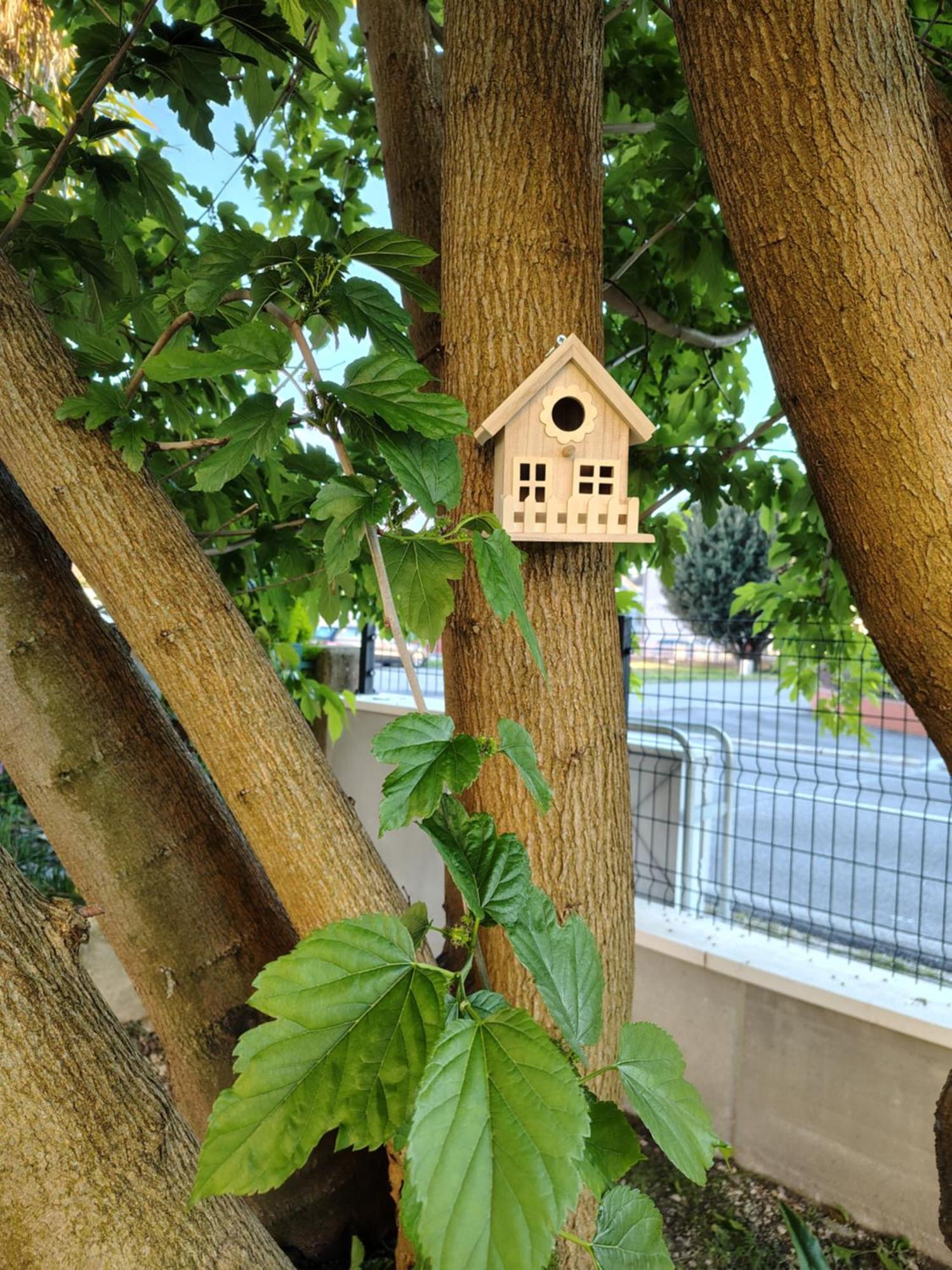 La Casa Gialla Scardovari Ngoại thất bức ảnh